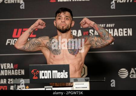 SAN ANTONIO, TX, USA. 24. März 2023. SAN ANTONIO, TX - 24. März: Daniel Pineda betritt die Waage für die offiziellen Wiegevorgänge im Westin San Antonio North für die UFC Fight Night - Vera vs Sandhagen - Wiegeversuche am 24. März 2023 in SAN ANTONIO, USA. (Kreditbild: © Louis Grasse/PX Imagens via ZUMA Press Wire) NUR REDAKTIONELLE VERWENDUNG! Nicht für den kommerziellen GEBRAUCH! Stockfoto
