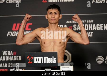 SAN ANTONIO, TX, USA. 24. März 2023. SAN ANTONIO, TX - 24. März: Victor Altimirano betritt die Waage für die offiziellen Wiegevorgänge im Westin San Antonio North für die UFC Fight Night – Vera vs Sandhagen – am 24. März 2023 in SAN ANTONIO, USA. (Kreditbild: © Louis Grasse/PX Imagens via ZUMA Press Wire) NUR REDAKTIONELLE VERWENDUNG! Nicht für den kommerziellen GEBRAUCH! Stockfoto