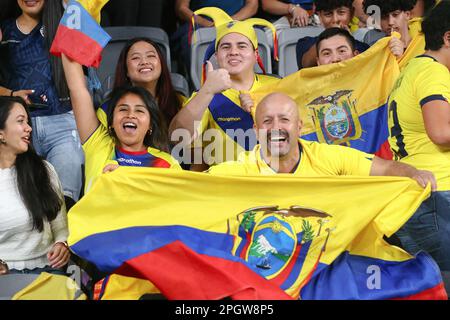 24. März 2023; CommBank Stadium, Sydney, NSW, Australien: International Football Friendly , Australien gegen Ecuador; Ecuador-Fans jubeln für ihr Land Stockfoto