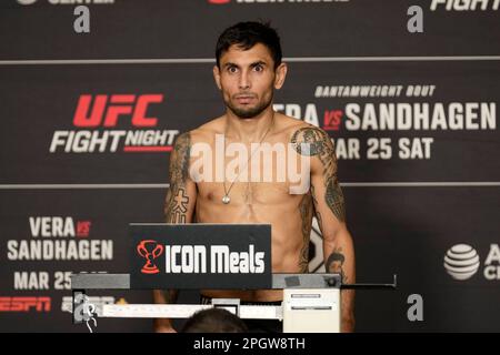 SAN ANTONIO, TX, USA. 24. März 2023. SAN ANTONIO, TX - 24. März: Alex Perez betritt die Waage für die offiziellen Wiegevorgänge im Westin San Antonio North für die UFC Fight Night - Vera vs Sandhagen - Wiegeversuche am 24. März 2023 in SAN ANTONIO, USA. (Kreditbild: © Louis Grasse/PX Imagens via ZUMA Press Wire) NUR REDAKTIONELLE VERWENDUNG! Nicht für den kommerziellen GEBRAUCH! Stockfoto