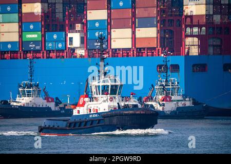 Hafenschlepper schieben den Containerfrachter COSCO Shipping Leo an seinen Liegeplatz in Hutchison Ports ECT Euromax, Yangtzekanaal auf Maasvlakte 2, Rotter Stockfoto