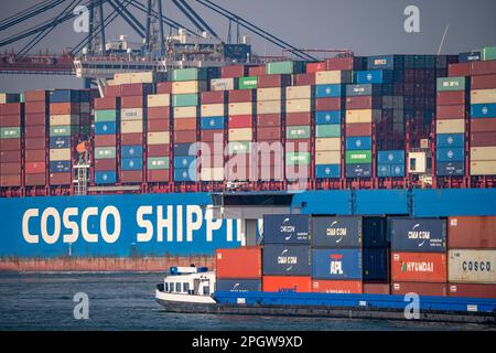 Hafenschlepper schieben den Containerfrachter COSCO Shipping Leo an seinen Liegeplatz in Hutchison Ports ECT Euromax, Yangtzekanaal auf Maasvlakte 2, Rotter Stockfoto