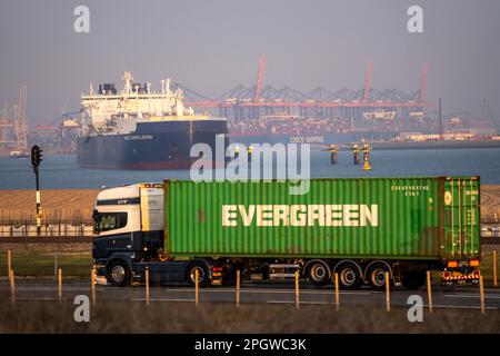 LNG-Tanker Rudolf Samoylowitsch, für Flüssigerdgas im Seehafen Rotterdam, Maasvlakte2, Containerlaster, Rotterdam Niederlande, Stockfoto