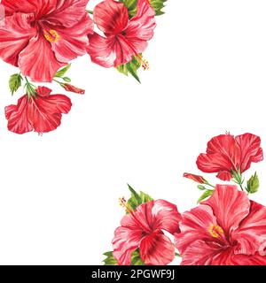 Aquarell tropische Pflanzen. Hibiskusblüten. Rahmen für Beschriftungen. Aquarell botanische Illustration. Hintergrund mit Platz für Text. Perfekt für g Stockfoto