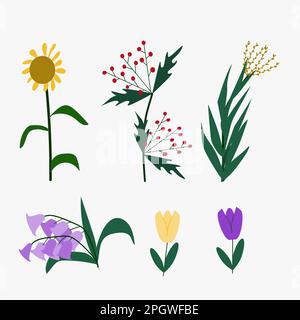 Frühlings- und Sommerblumen aus Garten und Wald Stock Vektor