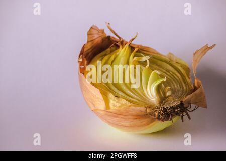 Zwiebelhälften auf einem Stück Holz, Zwiebelfäule, Zwiebeln wachsen. Stockfoto