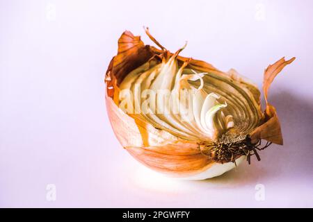 Zwiebelhälften auf einem Stück Holz, Zwiebelfäule, Zwiebeln wachsen. Stockfoto