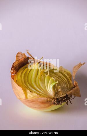 Zwiebelhälften auf einem Stück Holz, Zwiebelfäule, Zwiebeln wachsen. Stockfoto