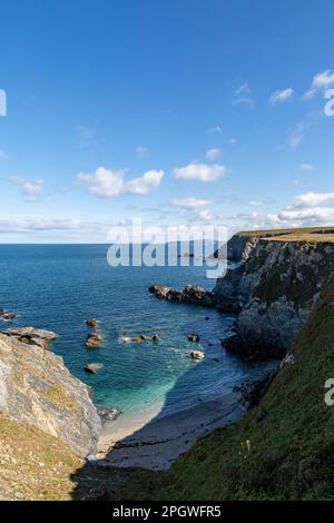 Ein Blick über Mutton Cove an der Cornish Coast, Heimat einer Seehundkolonie Stockfoto