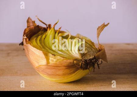 Zwiebelhälften auf einem Stück Holz, Zwiebelfäule, Zwiebeln wachsen. Stockfoto