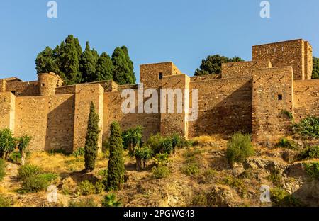 Die Alcazaba in Malaga Andalusien Südspanien ist eine palastartige Festung, die zwischen dem 11. Und 15. Jahrhundert während der Zeit der muslimischen Herrschaft errichtet wurde. Stockfoto