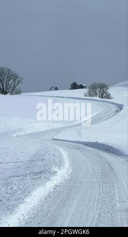 Eine malerische Winterlandschaft mit einer schneebedeckten Straße, die sich durch eine friedliche Landschaft erstreckt. Stockfoto