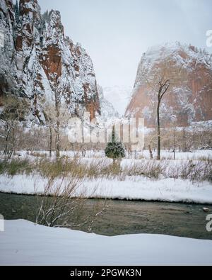 Verschneite Winterszene am Virgin River, Utah Stockfoto