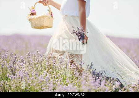 Nahaufnahme einer Frau in wunderschönem weißen Kleid, die einen Korb benutzt, um Lavendel auf dem Feld zu sammeln Stockfoto