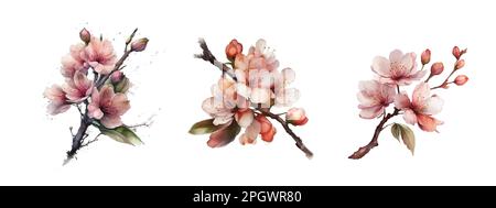 Frühlingssakura Kirschblüten Blumenstrauß. Isolierte, realistische rosa Blüten, Blüten, Zweige, Blätter, Vektorsatz. Stock Vektor