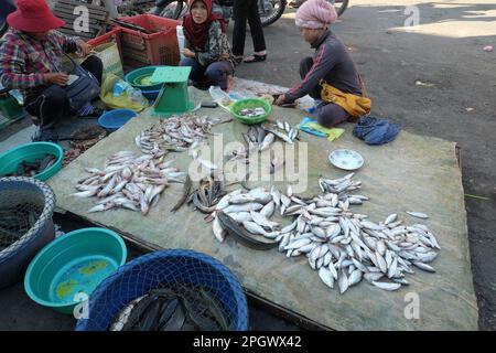 Frauen, die Fisch auf dem Straßenmarkt von Battambang in Kambodscha verkaufen. Fisch aus dem Tonle SAP Lake wird in Battambang, Kambodscha, verkauft. Stockfoto