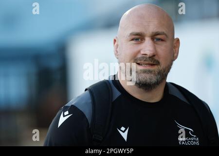 Carl Fearns von Newcastle Falcons kommt am Freitag, den 24. März 2023, zum Gallagher Premiership Match zwischen Newcastle Falcons und Gloucester Rugby im Kingston Park, Newcastle, an. (Foto: Chris Lishman | MI News) Kredit: MI News & Sport /Alamy Live News Stockfoto