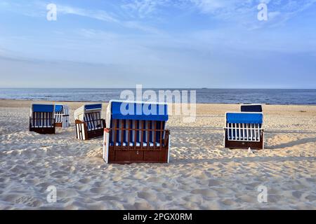 Liegewiese an einem Sandstrand an der Ostsee in Deutschland Stockfoto