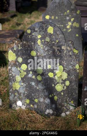 Grabsteine, die im Lichen Rhizocarpon geographicum (der Landkarte Flechten) bedeckt sind, befinden sich auf dem Friedhof von St. Julitta, Capel Curig, im Herzen von Snowdonia. Stockfoto