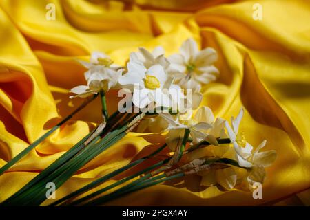 Strauß heller Narzissen auf hellem gelbem Hintergrund. Wunderschöne Stoffkurven und Frühlingsblumen darauf. Draufsicht mit Platz für Text. Stockfoto