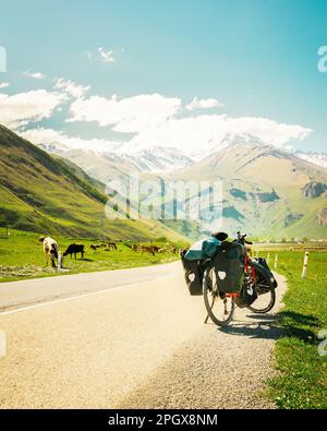 Rotes Touring-Fahrrad mit schwerer Ausrüstung in vier Koffer steht an der Seite der Asphaltstraße, umgeben von Sommerlandschaft und dem Hintern der kaukasusberge Stockfoto