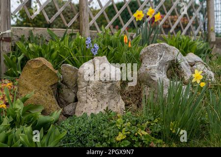 Garten Umgeben Von Farbenfrohen Sommerblumen. Stockfoto