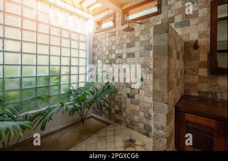 Badezimmer mit großen Fenstern und Steindusche mit natürlichen Pflanzen Stockfoto