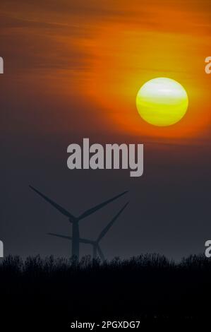 Windpark bei Sonnenuntergang. Sonnenuntergang hinter Windturbinen. Low Spinney Wind Farm, Ashby Magna, Leicestershire, Großbritannien Stockfoto