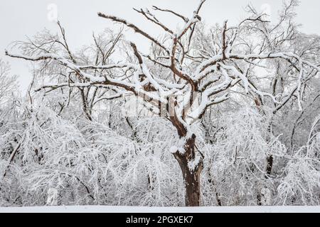 Lake Hefner in Oklahoma City nach einem Wintersturm Stockfoto