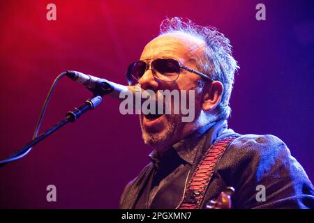 Elvis Costello im Konzert Stockfoto