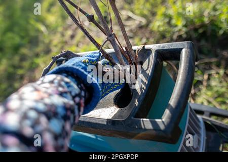 Die Hand des Gärtners legt Zweige in die Nahaufnahme des Gartenzerkleinerers. Zerkleinern von Baumzweigen während der Frühjahrsernte Stockfoto