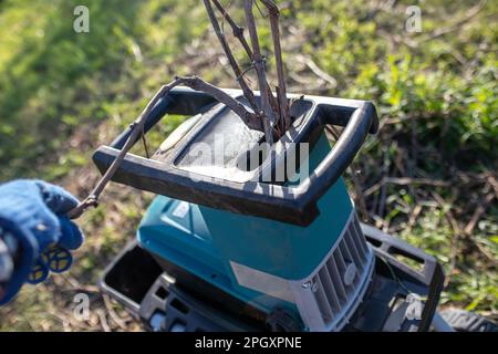 Die Hand des Gärtners hält den Ast bei der Arbeit mit dem Gartenzerkleinerer. Frühjahrsgärtnerei. Konzept der Gartenarbeit im Frühjahr Stockfoto