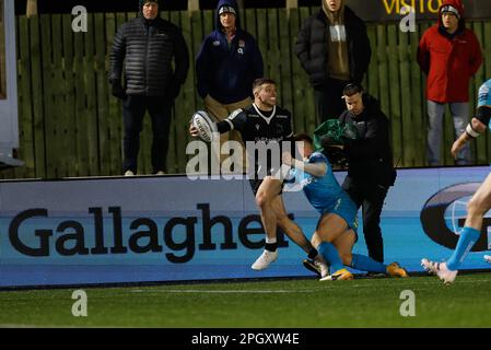 Adam Radwan von Newcastle Falcons sucht Unterstützung von innen während des Gallagher Premiership-Spiels zwischen Newcastle Falcons und Gloucester Rugby am Freitag, den 24. März 2023 im Kingston Park, Newcastle. (Foto: Chris Lishman | MI News) Kredit: MI News & Sport /Alamy Live News Stockfoto