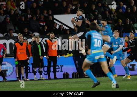 Ben Stevenson von Newcastle Falcons tritt am Freitag, den 24. März 2023, beim Gallagher Premiership Match zwischen Newcastle Falcons und Gloucester Rugby im Kingston Park, Newcastle, einen Boxkick. (Foto: Chris Lishman | MI News) Kredit: MI News & Sport /Alamy Live News Stockfoto