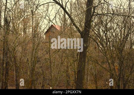 Blockhütte auf dem Hügel, durch den Wald sichtbar. Ländlicher Missouri, MO, USA, USA, USA. Stockfoto