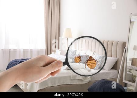 Frau mit Lupe, die Bettwanzen im Schlafzimmer erkennt, schließt Stockfoto