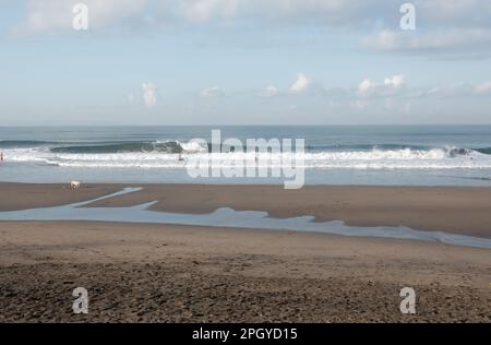 Surffreunde am frühen Morgen am beliebten Strand von Canggu, Bali, Indonesien Stockfoto