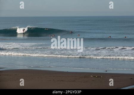 Surffreunde am frühen Morgen am beliebten Strand von Canggu, Bali, Indonesien Stockfoto