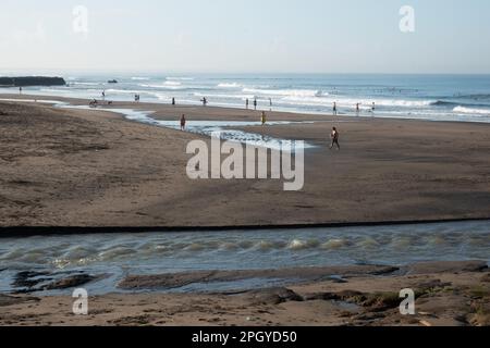 Surffreunde am frühen Morgen am beliebten Strand von Canggu, Bali, Indonesien Stockfoto