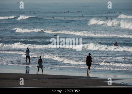 Surffreunde am frühen Morgen am beliebten Strand von Canggu, Bali, Indonesien Stockfoto