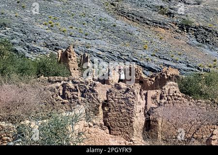 Die Burgruinen von Tanuf, Wadi Tanuf, Al Dakhiliyah, Oman Stockfoto