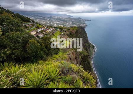 Blick auf die Klippen von der Aussichtsplattform, Küstenlandschaft, Cabo Girao, Südküste, Madeira, Portugal Stockfoto