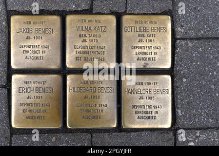 Stolperstein, Kupferdenkmäler ermordeter jüdischer Mitbürger während der Nazizeit, Erlangen, Mittelfrankreich, Bayern, Deutschland Stockfoto