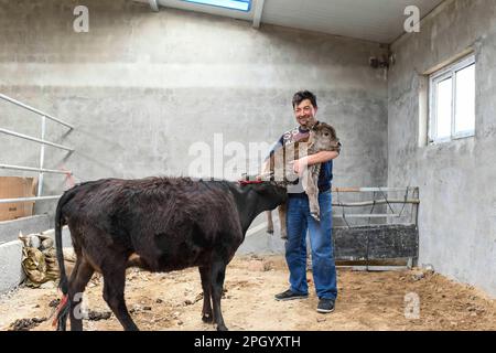 (230325) -- TAXKORGAN, 25. März 2023 (Xinhua) -- Duri Jarman verlegt seine Kühe in einen normalen Kuhstall vor seinem Haus im Dorf Aimin im autonomen Bezirk Taxkorgan Tajik, im Nordwesten Chinas autonome Region Xinjiang Uygur, 26. Juni 2019. Das Leben des Hirten Duri Jarman ist eng mit zwei Orten verbunden: Dem Dorf AK Toga Langar, eingebettet tief in die Berge des Taxkorgan Tajik Autonomous County, und dem Dorf Aimin, das sich in der Nähe des Bezirkssitzes befindet. Duri, jetzt 52 Jahre alt, lebte 47 Jahre im Dorf AK Toga Langar. Im Winter 2018 profitierte seine Familie von der Umsiedlung Stockfoto