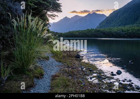 Lake Gunn bei Sonnenuntergang, Fiordland National Park, South Island, Neuseeland Stockfoto