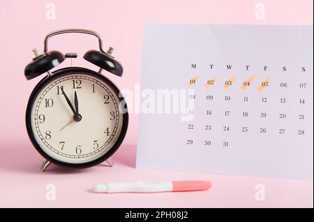 Stillleben: Wecker, Kalender und Schwangerschaftstest auf pinp-Hintergrund. Fertilitäts-Ovulations-Mutterschaftsplanungskonzept Stockfoto