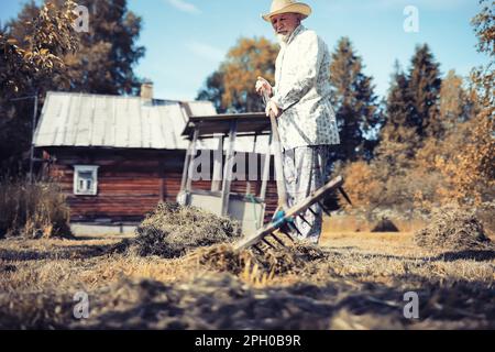 Ein älterer Landwirt säubert das geschnittene Heu. Ein grauhaariger Mann mäht das Gras auf der Wiese. Stockfoto