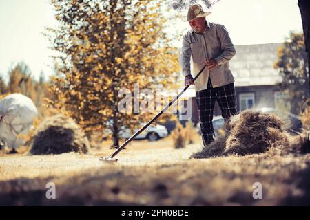 Ein älterer Landwirt säubert das geschnittene Heu. Ein grauhaariger Mann mäht das Gras auf der Wiese. Stockfoto