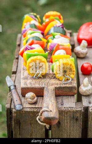 Hausgemachte und frisch gegrillte Spieße aus Gemüse und Fleisch. Präparate für Fleisch- und Gemüsespieße. Stockfoto