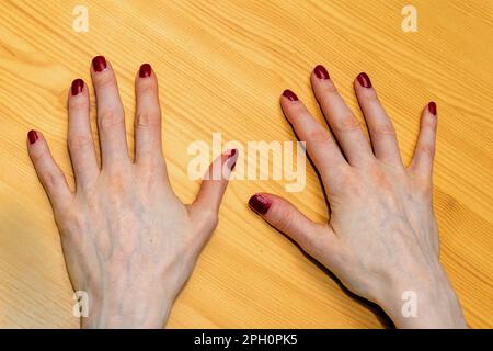 Elegante, saubere weibliche Hände mit gepflegten Nägeln, die mit rotem Nagellack lackiert sind Stockfoto